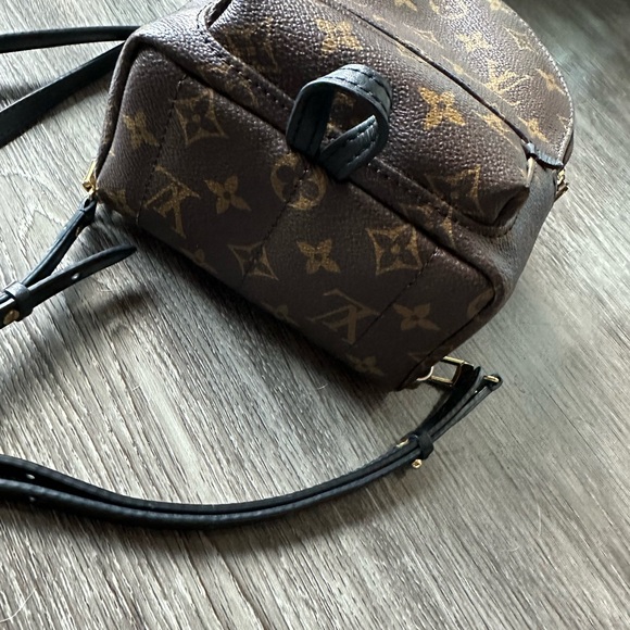 Louis Vuitton Palm Springs mini backpack - Picture 2 of 6